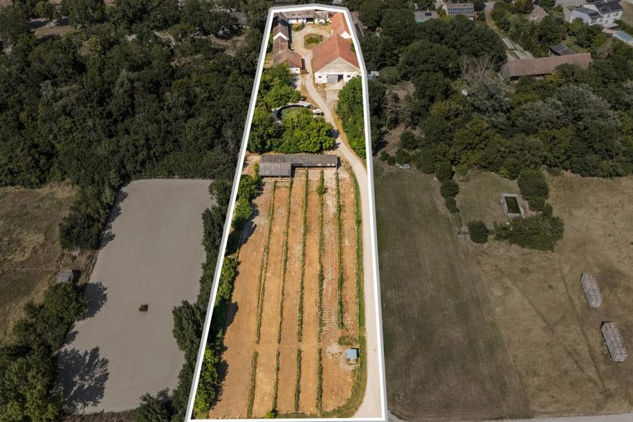 "Großzügiges Grundstück mit Pferdehof und sanierungsbedürftigem Haus – nur Minuten von Wien entfernt", Grund und Boden-kauf, 749.000,€, 2301 Gänserndorf