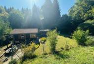 Idyllisches Feriengrundstück mit Holzhaus in Grünruhelage nahe Gleisdorf
