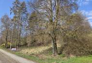 Unverbaubare Fernsicht! 1.531 m² großes Hang-Baugrundstück OHNE Bauzwang und OHNE Bebauungsplan in Steusiedlung am Land!