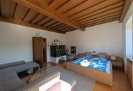 Großes Einfamilienhaus in zentraler Lage - Nur 25 Min. von Graz!