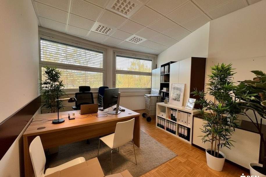 Ihr neuer Standort auf der Feldkirchner Str. in Klagenfurt+++ 222 m² moderne Bürofläche mit Stil und Substanz, Gewerbeobjekt-miete, 3.087,41,€, 9020 Klagenfurt(Stadt)