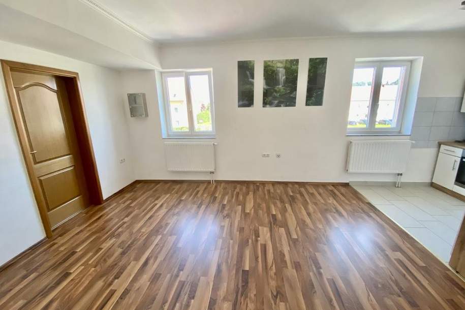 Tolle Wohnung mit Küche und Parkplatz in ruhiger Lage! NÄHE BMW!!, Wohnung-miete, 749,20,€, 4400 Steyr(Stadt)