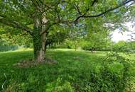 ZWEI WOHNHÄUSER - TRAUMHAFTER BUNGALOW UND KLEINES SOMMERHAUS SAMT PARKÄHNLICHEM GARTEN MIT HERRLICHEM ALTBAUMBESTAND