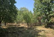 Bauträger & Investoren aufgepasst! Attraktives, ca. 3.500 m² großes Baugrundstück mit Entwicklungspotenzial