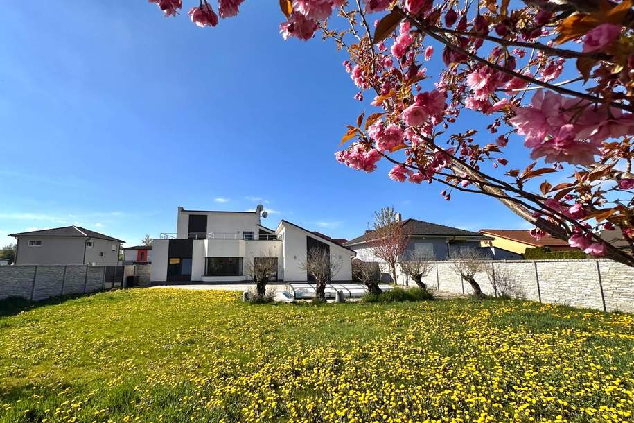 Ihr neues Zuhause mit Stil – Exklusives Wohnhaus mit Doppelgarage!, Haus-kauf, 719.000,€, 2275 Mistelbach