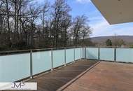 Modernes Wohnen am Lainzer Tiergarten – exklusive Villa mit Pool und Lift!