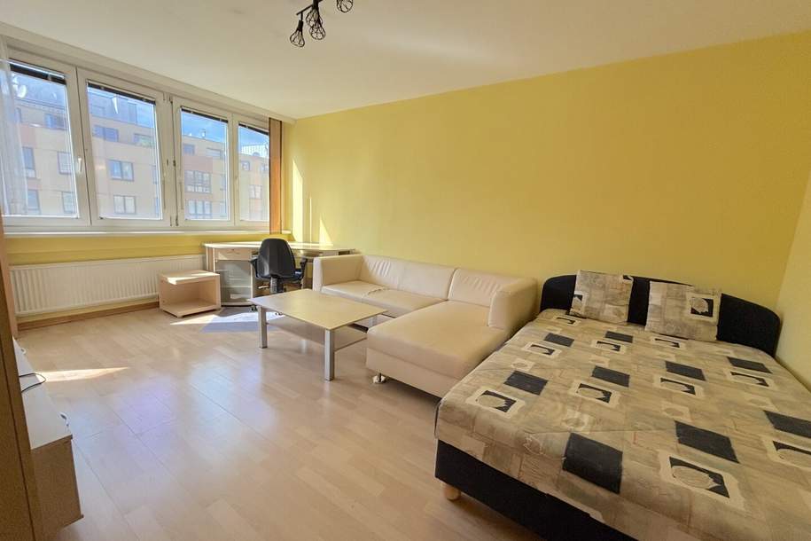 Charmantes 1 Zimmer Appartement im 5 Stock mit Fernblick, Wohnung-miete, 678,16,€, 1100 Wien 10., Favoriten