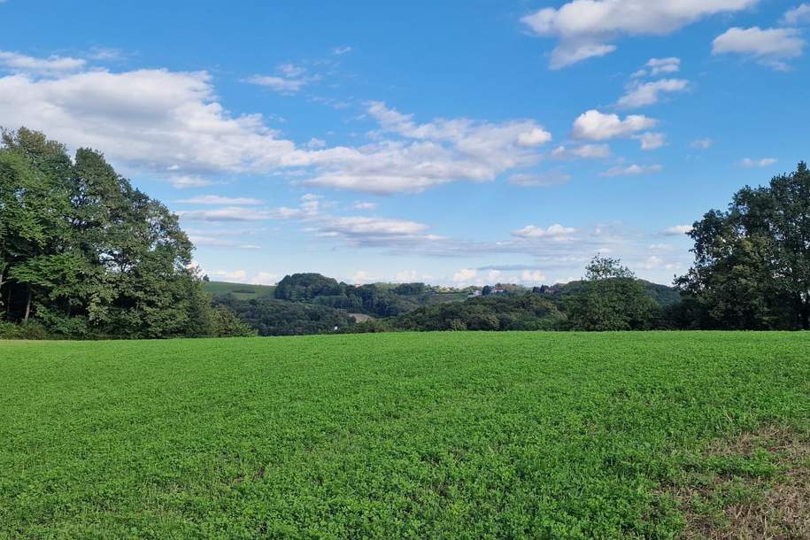 Großes Grundstück für Bauträger, Thermenprojekt oder Sport- und . Raum für Ihre Vision., Grund und Boden-kauf, 290.000,€, 8380 Jennersdorf