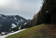 Grundstück in Hüttau im Fritztal auf ca 1400 Meter inkl. genehmigten Plan für ein Landhaus (Chalet)