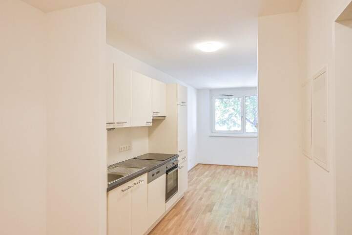 Single-Hit: Moderne 1-Zimmer Wohnung in Donaunähe, Wohnung-miete, 699,00,€, 1200 Wien 20., Brigittenau
