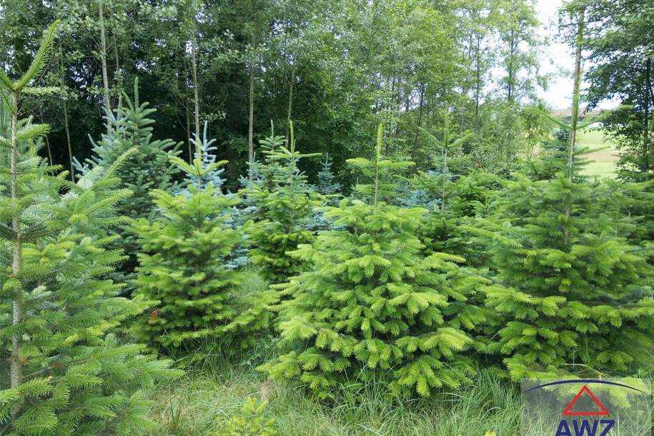 Schöner Mischwald!, Grund und Boden-kauf, 4844 Vöcklabruck