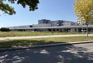 Familienfreundlich &amp; hell – 3-Zimmer-Wohnung mit sonnigem Eigengarten