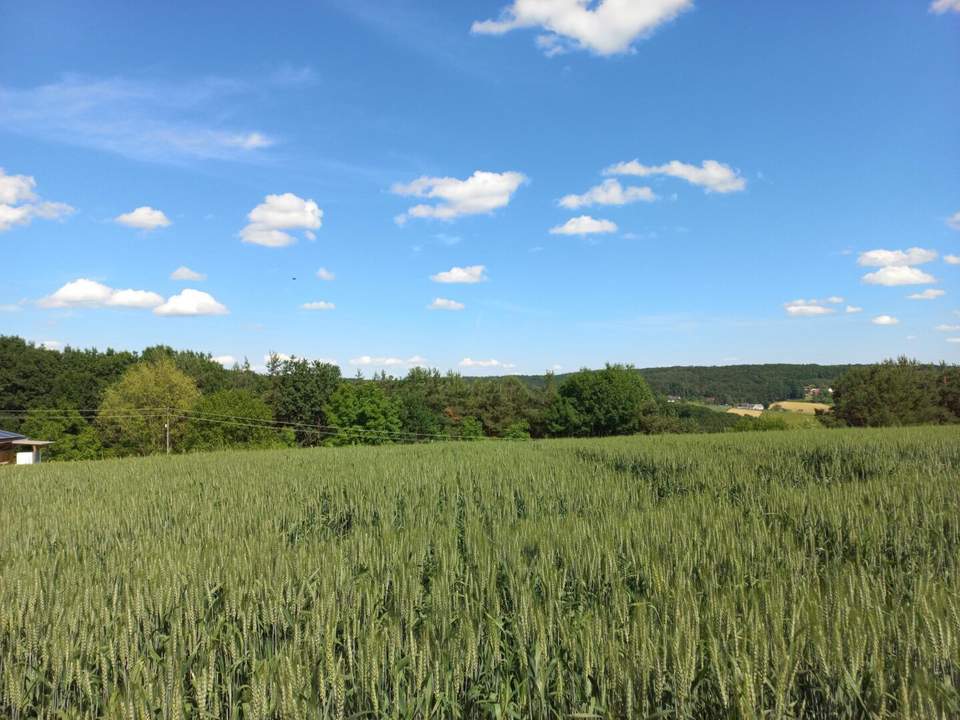 Baugrund in Ruhelage mit Anbindung an die S7
