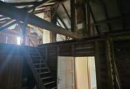 Altes Haus auf schönem Grundstück