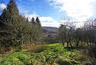 Grundstück mit Panoramablick an der Wiener Stadtgrenze - teilbar mit Bauträger-Eignung!