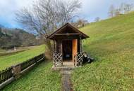 Gemütliches Einfamilienhaus in Hofstadtgegend