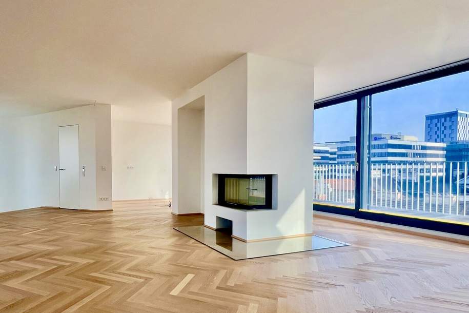 Traum Penthouse mit großen Terrassen und Fernblick, Wohnung-kauf, 2.495.000,€, 1040 Wien 4., Wieden