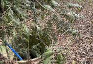 sonniges Grundstück ohne Bauzwang