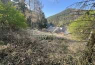 ZWICHEN WALD UND WEITBLICK – ein Bungalow, der auf Ihre Handschrift wartet1