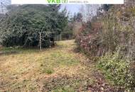 Naturnah & ruhig: Grundstück mit Altbestand in Spattendorf - Gemeinde Alberndorf in der Riedmark (GST 2438/1)