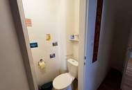 "Wo der Augarten zum zweiten Wohnzimmer wird"
