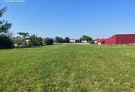 Optimale Standortwahl