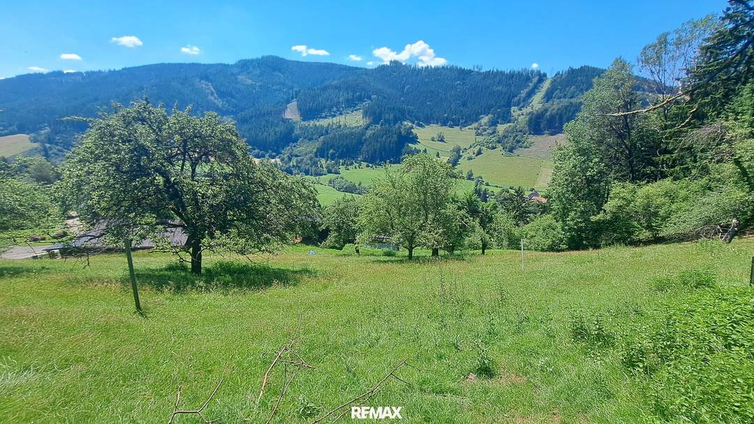 Sonniges Baugrundstück in Panoramalage Nähe LKH Bruck/Mur