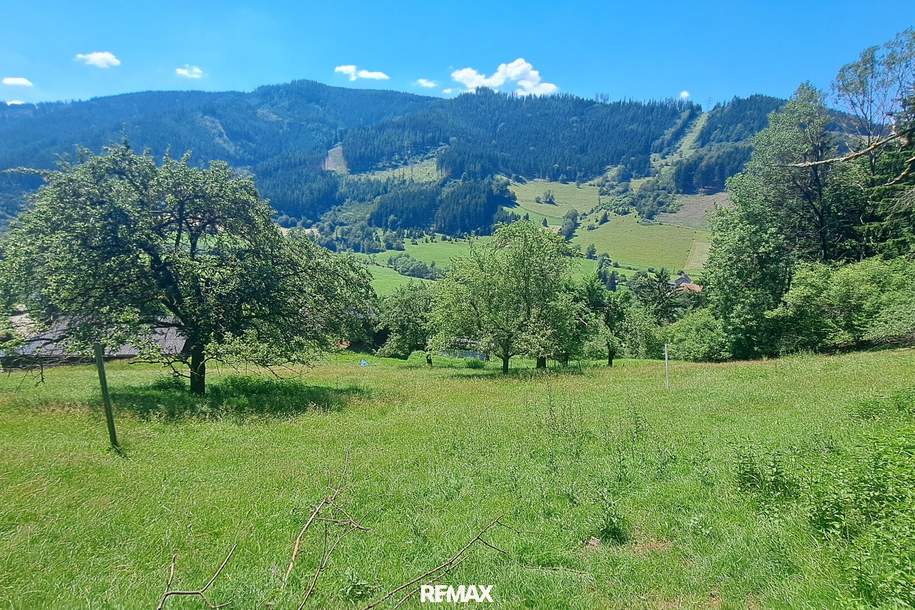 Sonniges Baugrundstück in Panoramalage Nähe LKH Bruck/Mur, Grund und Boden-kauf, 92.000,€, 8600 Bruck-Mürzzuschlag