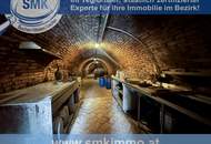 Romantische Kellerjuwele mit sonniger Terrasse und Naturgarten!