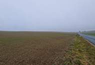 TOLLE ACKERFLÄCHE IN SÜDSEITIGER AUSRICHTUNG MIT GUTER BONITÄT IN GROßMUGL