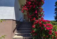 Einfamilienhaus mit Ausbaupotenzial, wo die Sonne einzieht und die Rosen blühen