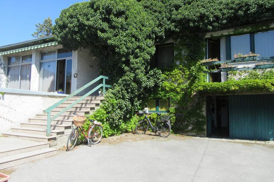 GROSSES BAUGRUNDSTÜCK MIT SANIERUNGSBEDÜRFTEGEM HAUS, Haus-kauf, 249.000,€, 2130 Mistelbach