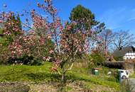 Schönes 1.000 m² großes Grundstück, leichte Hanglage, Nähe Fernitz - mit kleinem Wochenendhaus!