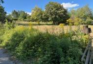 Wohnen im Grünen – Leben in Stadtnähe. Traumhaftes Grundstück im Wischathal!