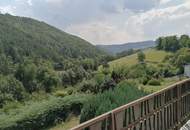 Haus zum Kauf in 2803 SCHWARZENBACH (NÖ)