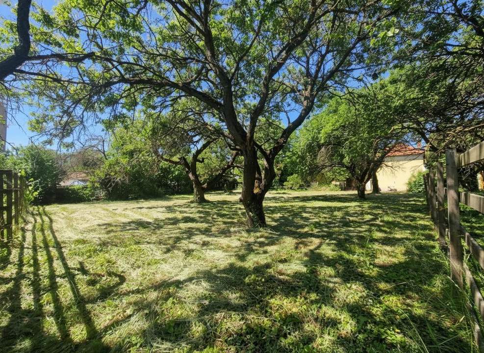 657m² Bauland zu kaufen!