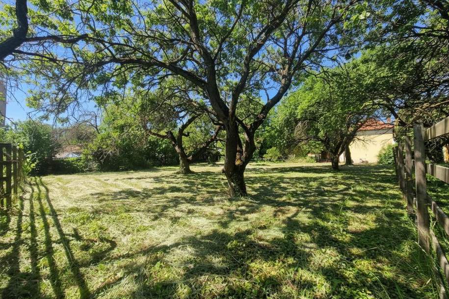 657m² Bauland zu kaufen!, Grund und Boden-kauf, 290.000,€, 2512 Baden