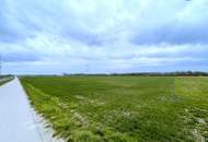Rarität! Landwirtschaftliches Grundstück in Ebergassing – ca. 40.000 m² Ackerfläche mit enormen Wertsteigerungspotential zu verkaufen!