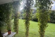 Einfamilienhaus mit großem Keller und traumhaftem Wald-Blick