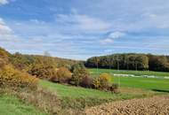 Sonniges Grundstück in Eltendorf – Ruhe und Natur genießen.
