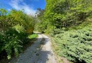 In Traumlage von Markt Piesting!