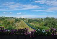 Großzügige Familienwohnung in der Storchenstadt Rust am See