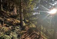 Exklusives Anwesen mit einzigartiger Aussicht, eingebettet in einem parkähnlichen Waldgrundstück