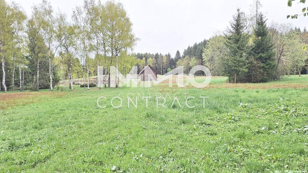 Großes Grundstück mit Fischteich und Badeteich, Erholungsanlage, Freizeitparadies mit viel Potenzial