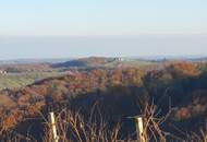 IN SLOWENIEN - Weingut in spektakulärer Alleinlage mit traumhafter Aussicht!