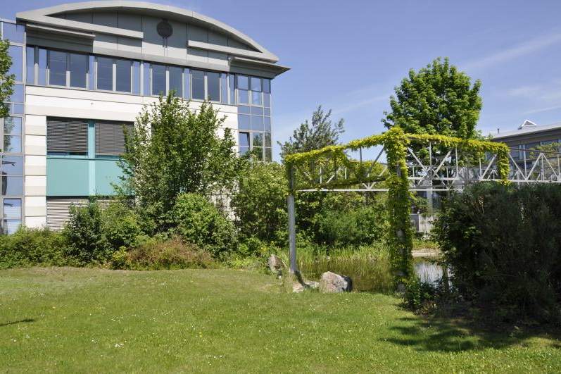 DPC | Modernes Büro Nähe Flughafen, Gewerbeobjekt-miete, 7.494,38,€, 2320 Bruck an der Leitha