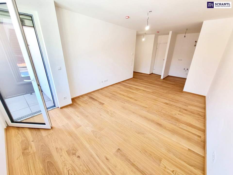 Perfekte Kleinwohnung mit Loggia! Energieeffizienz durch Photovoltaikanlage und Wärmepumpe! Ruhige Seitengasse + Faires Preis-Leistungs-Verhältnis + Perfekte Anbindung und Nahversorgung!