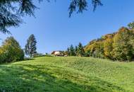 ***Auszeit - Mit der Natur im Einklang*** Top Anwesen mit Ausblick auf den Traunstein und Traunsee