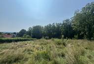 Zwei Baugrundstücke mit angrenzender Waldfläche in Hartberg – Am Brühlbach