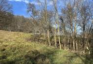 Sehr schönes Grundstück für Selbstversorger oder .....